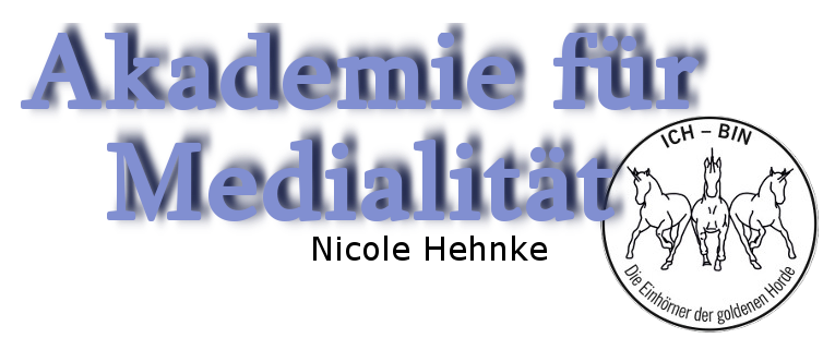 SchriftmitSchattenAkademietransmitLogo
